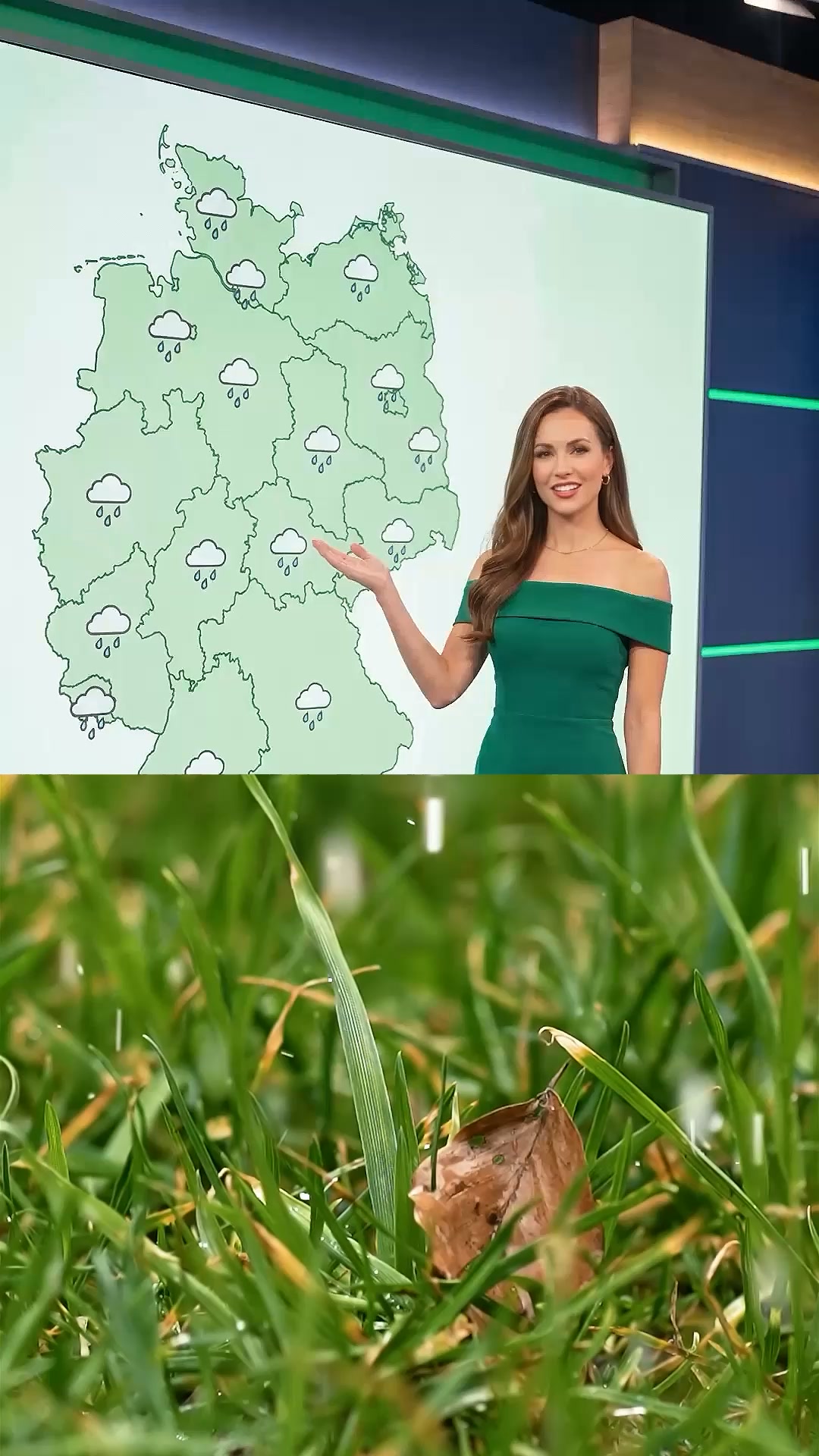 In 7 Tagen kräftig grüner Rasen