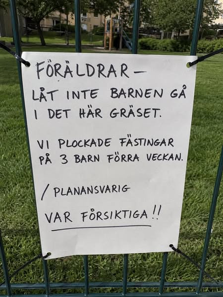 Föräldrar: det här missar många om fästingar