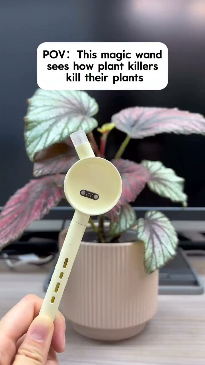 Still guessing when to water your plants?