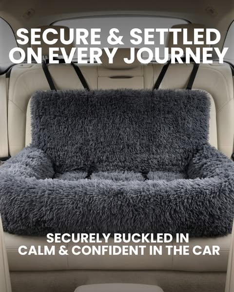 Trusted by 30,000+ dog owners