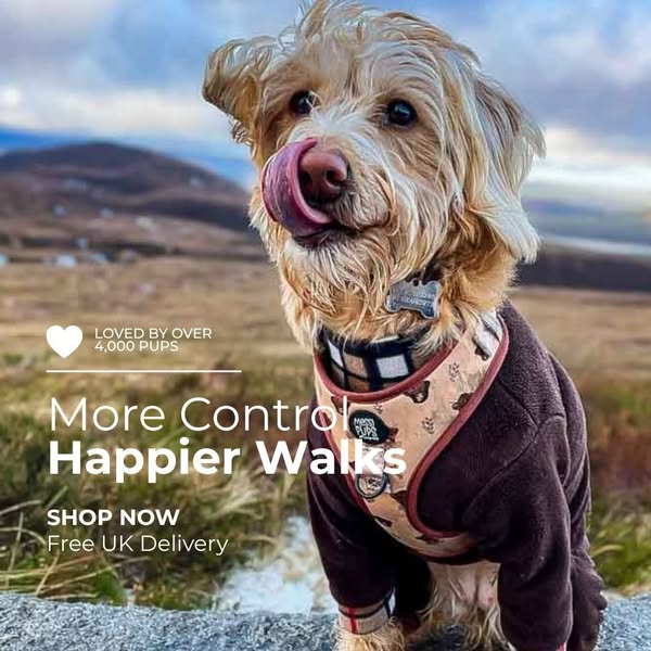 More control. Happier walks.