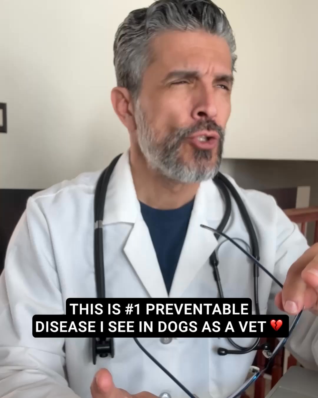 Give Your Dog The Level Of Hydration They Need
