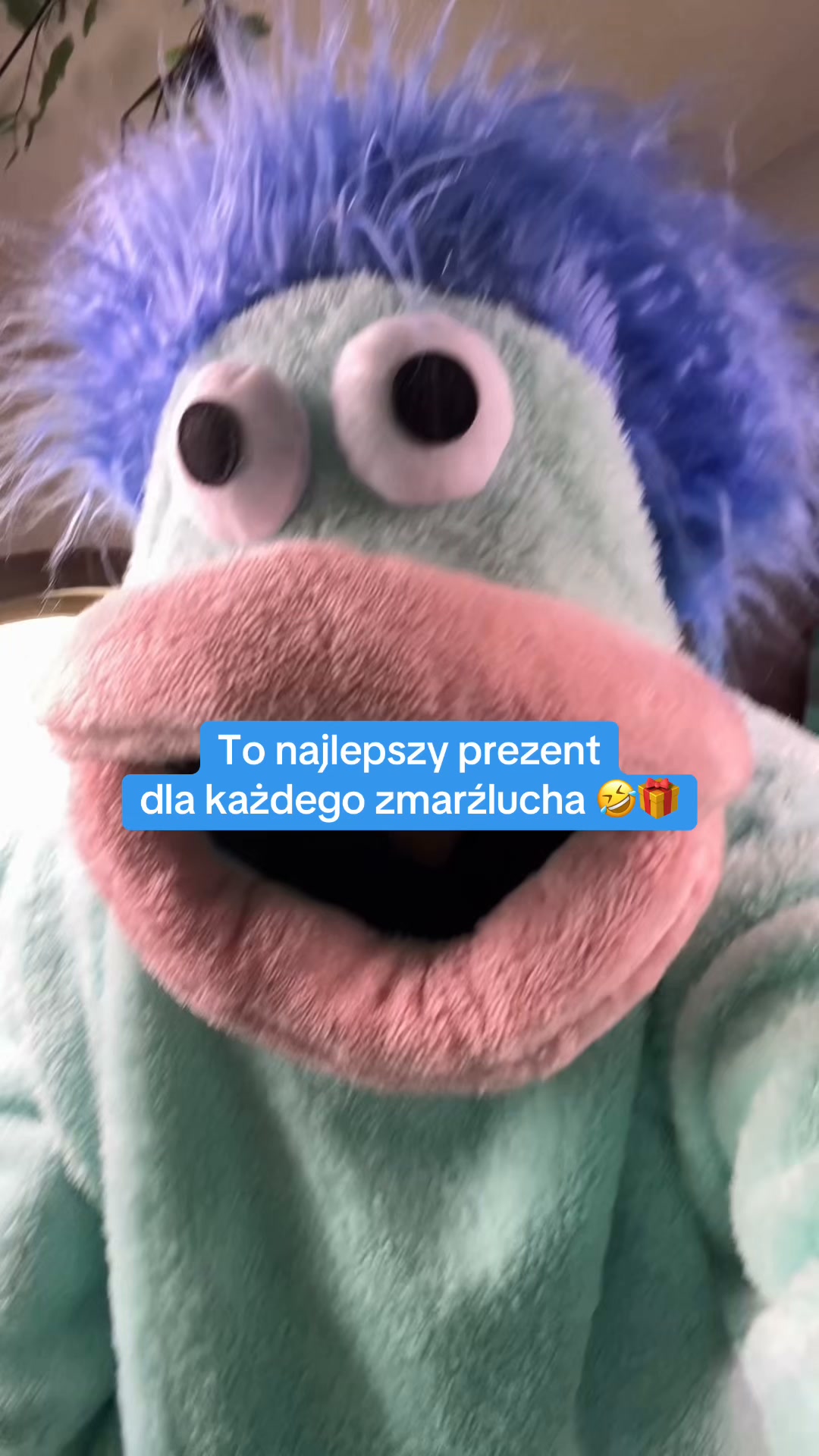Zimno? Poznaj Kocostwory!