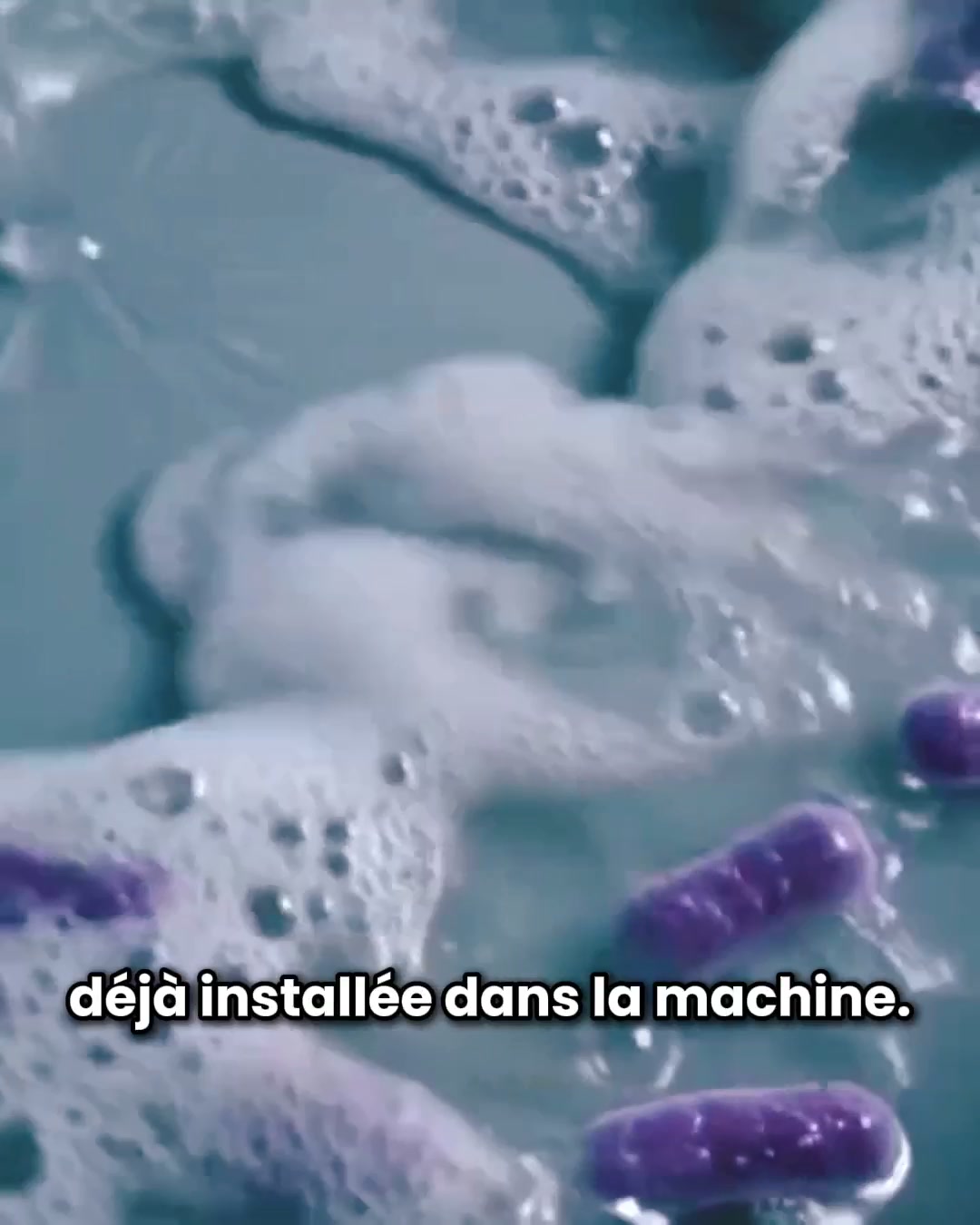 Cette odeur de renfermé a un nom