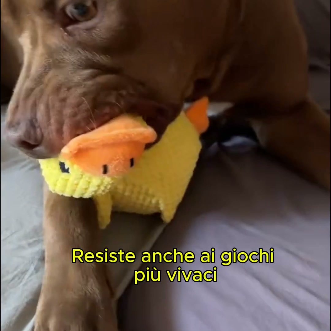 Paga alla consegna