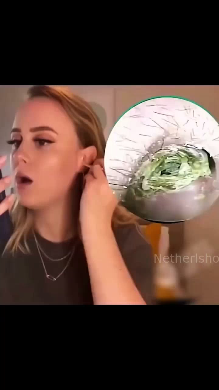 Netherlshop
