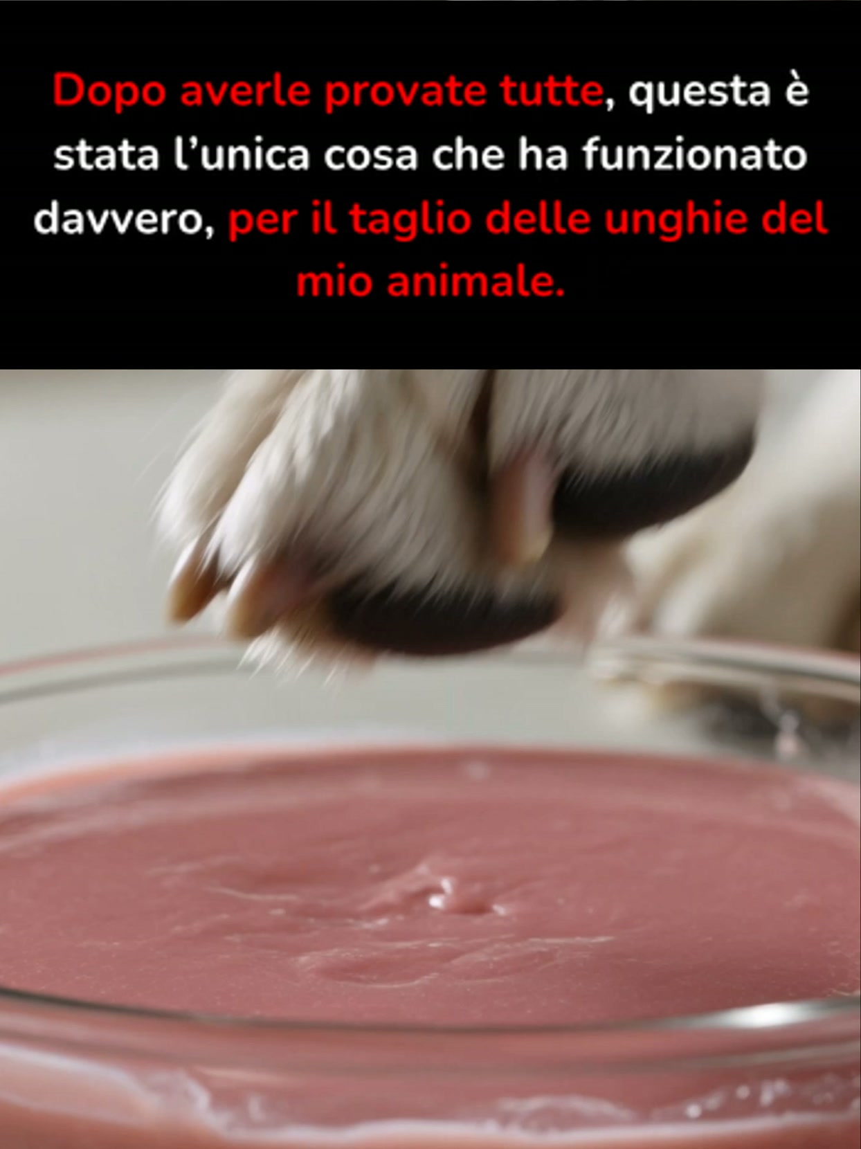 SCONTO 40%