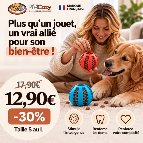 Offre limitée : Jusqu'à -30%