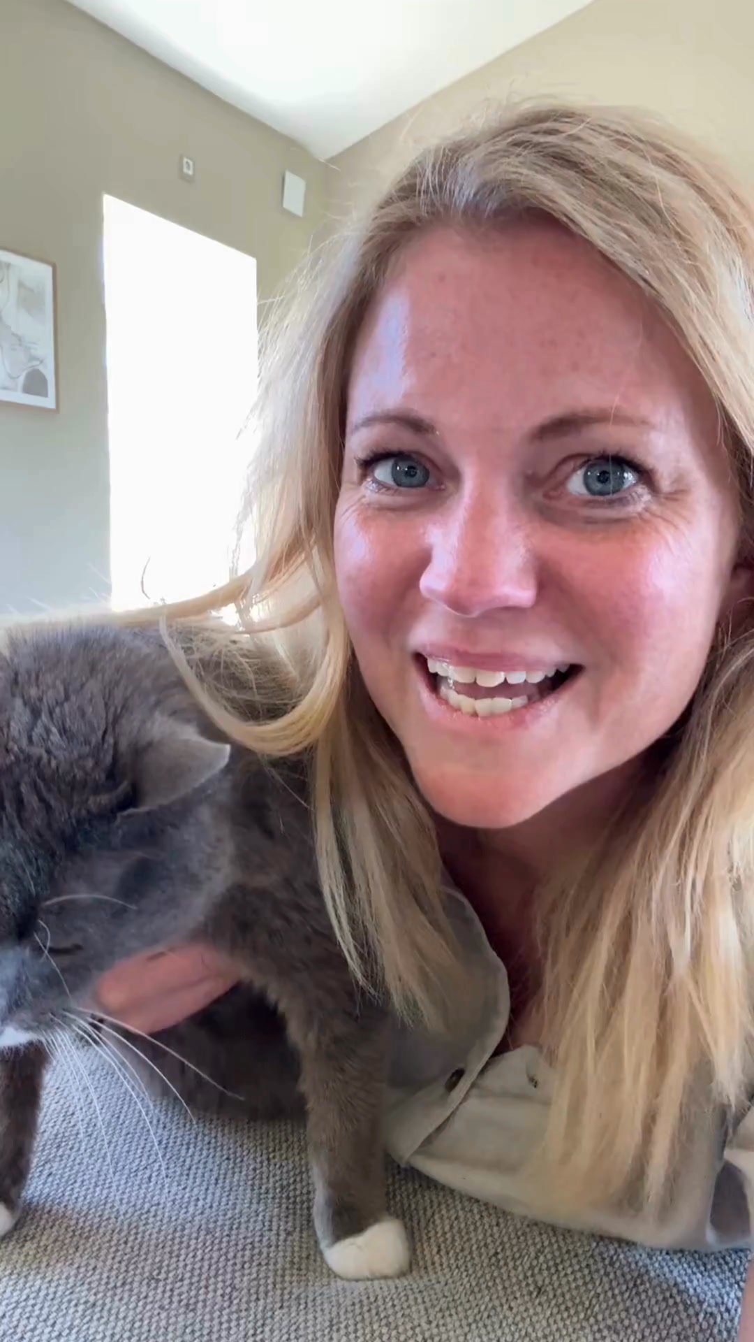 Spåra din katt – utan abonnemang