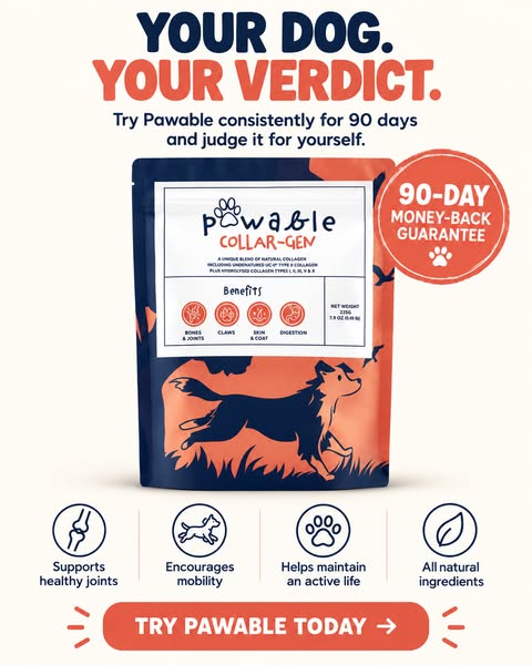 YOUR DOG. YOUR VERDICT.