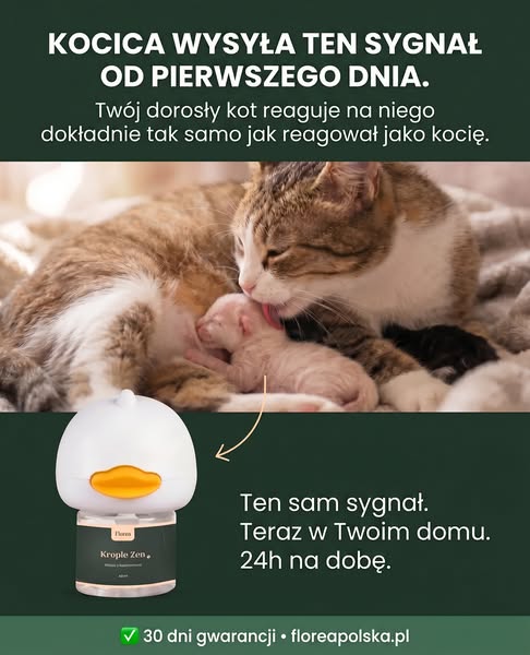 Sprawdź bez ryzyka — 30 dni gwarancji