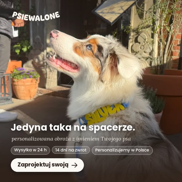 Obroża z imieniem Twojego psa