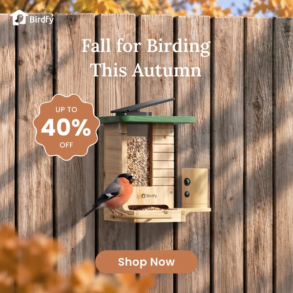Feed the Journey. Watch the Wonder. Save Up to 40% OFF.