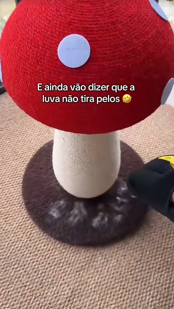 Leva já a tua luva