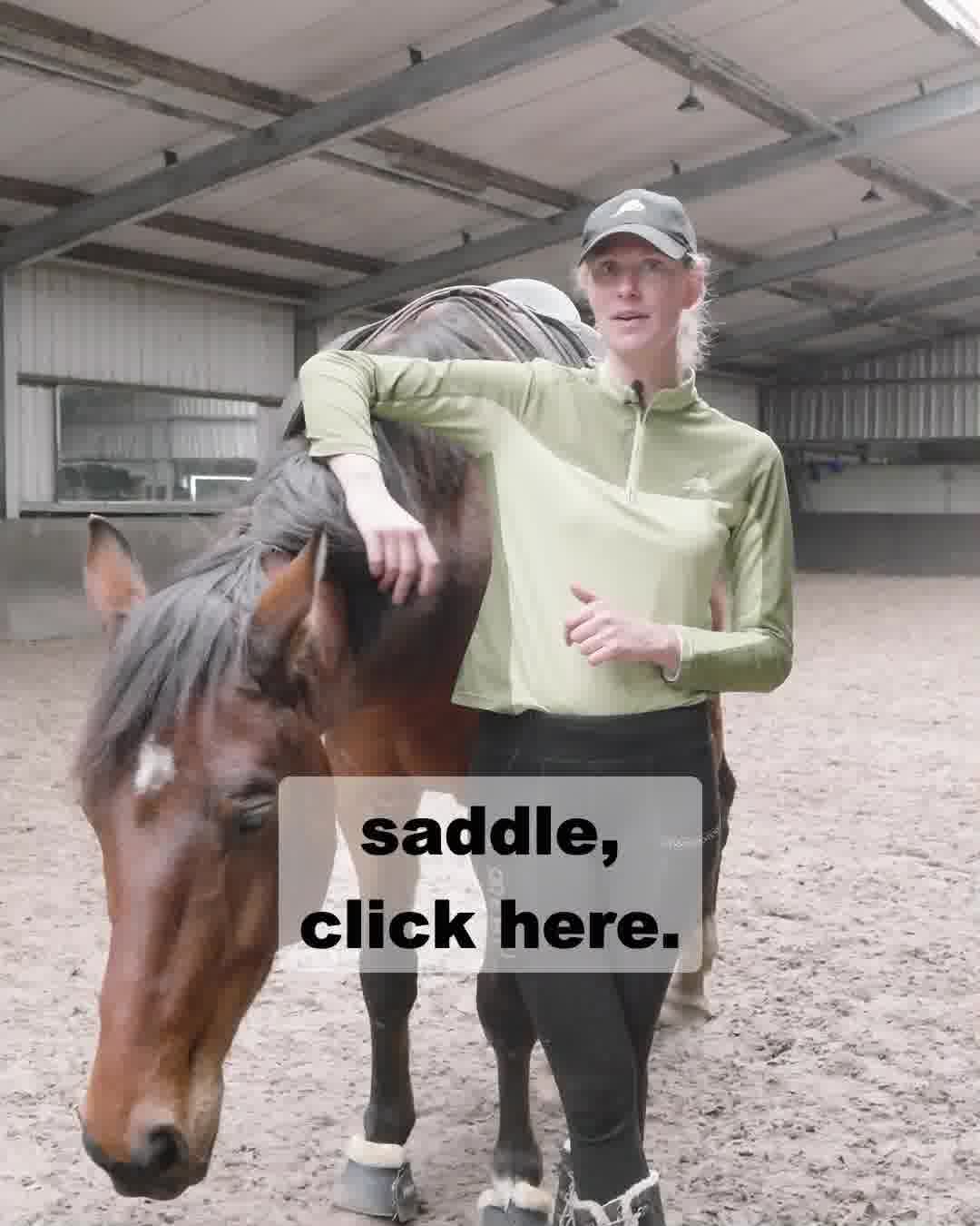 Works for every horse