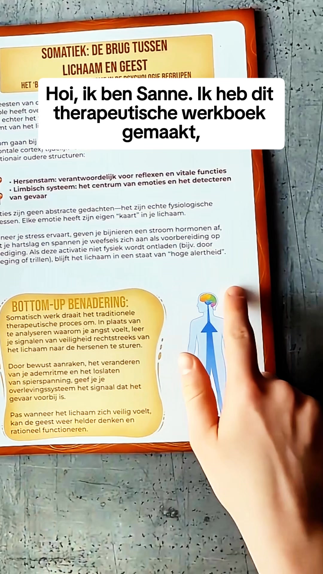 Werkboek Somatische Therapie