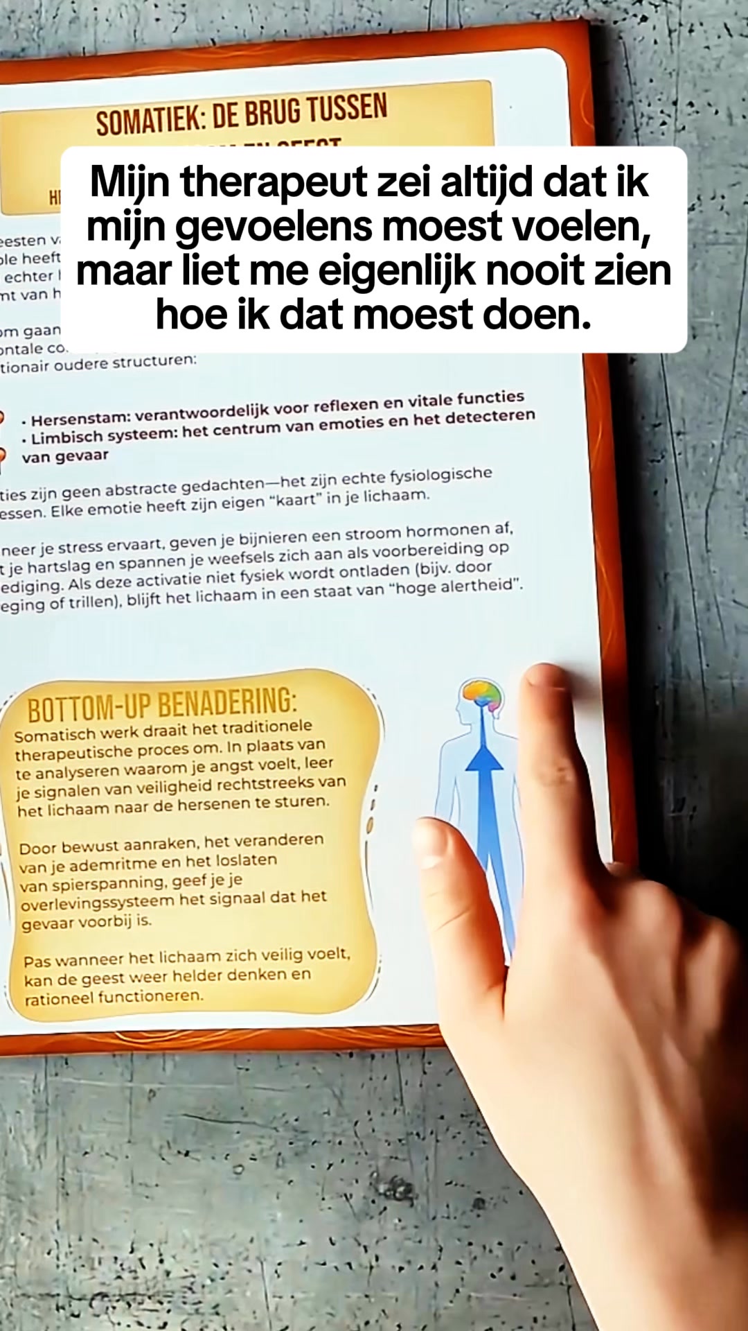 Werkboek Somatische Therapie