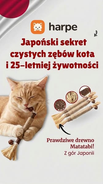 Japoński sposób na czystsze zęby kota