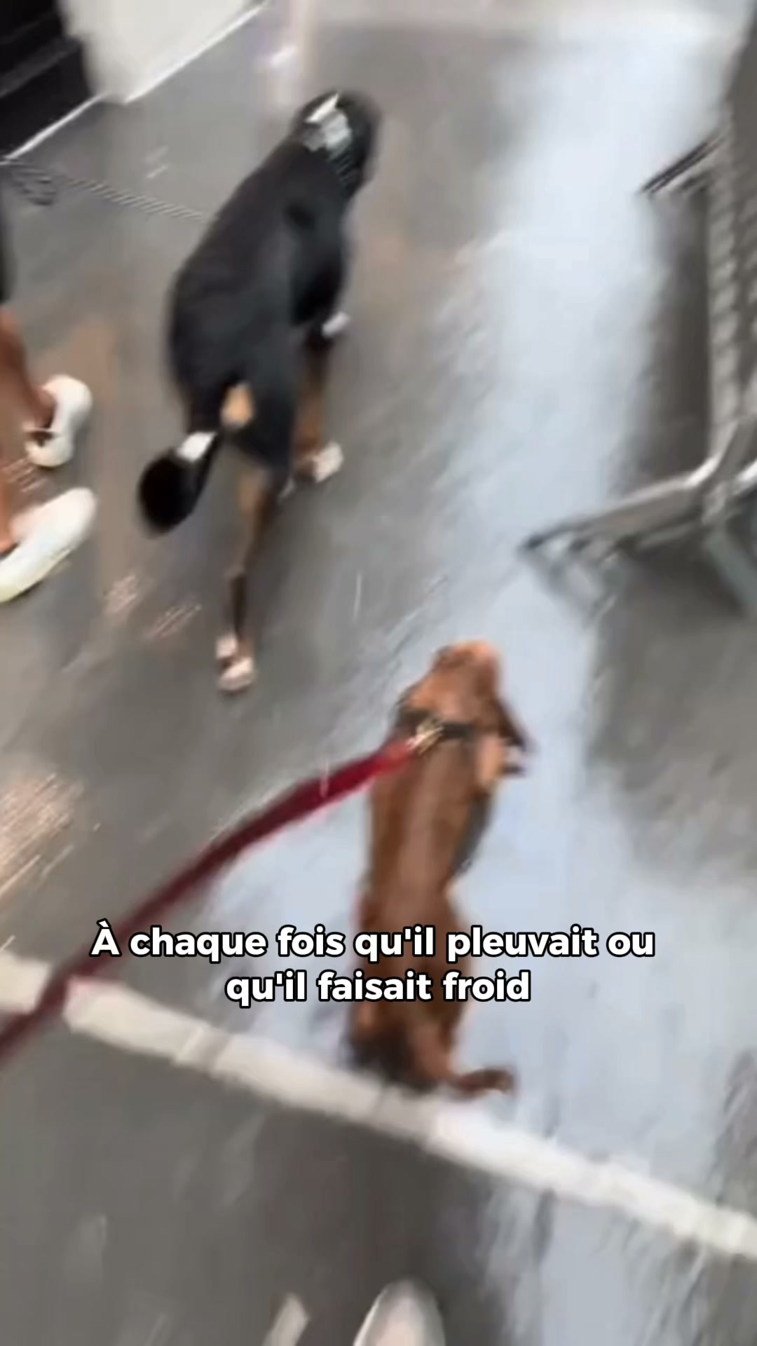 50% de réduction aujourd'hui