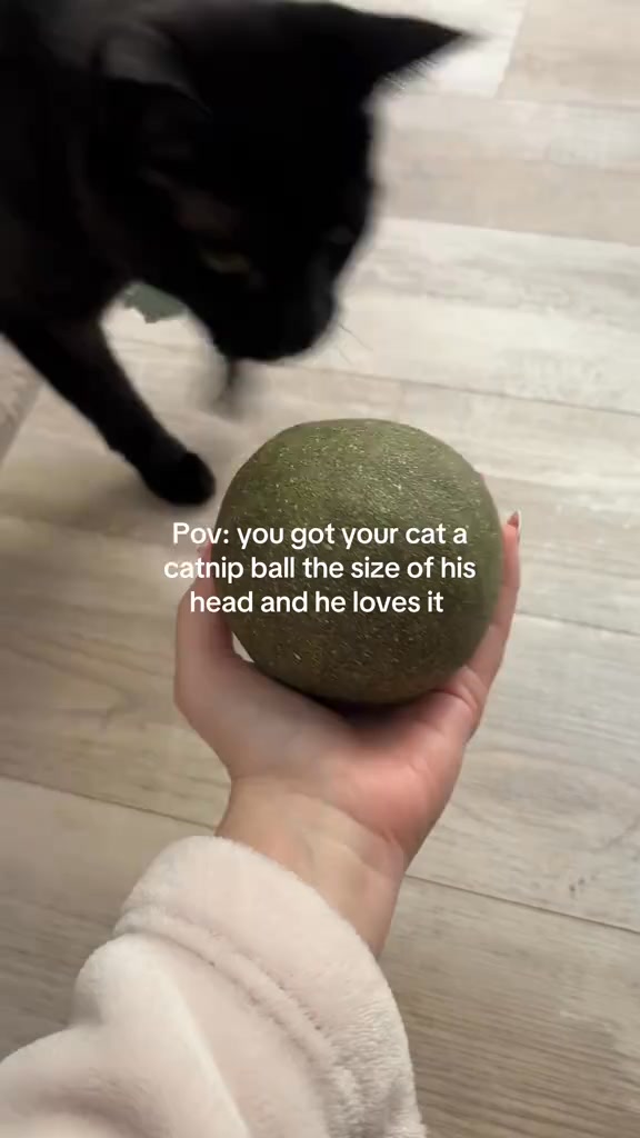 A treat or a toy? This ball is both!