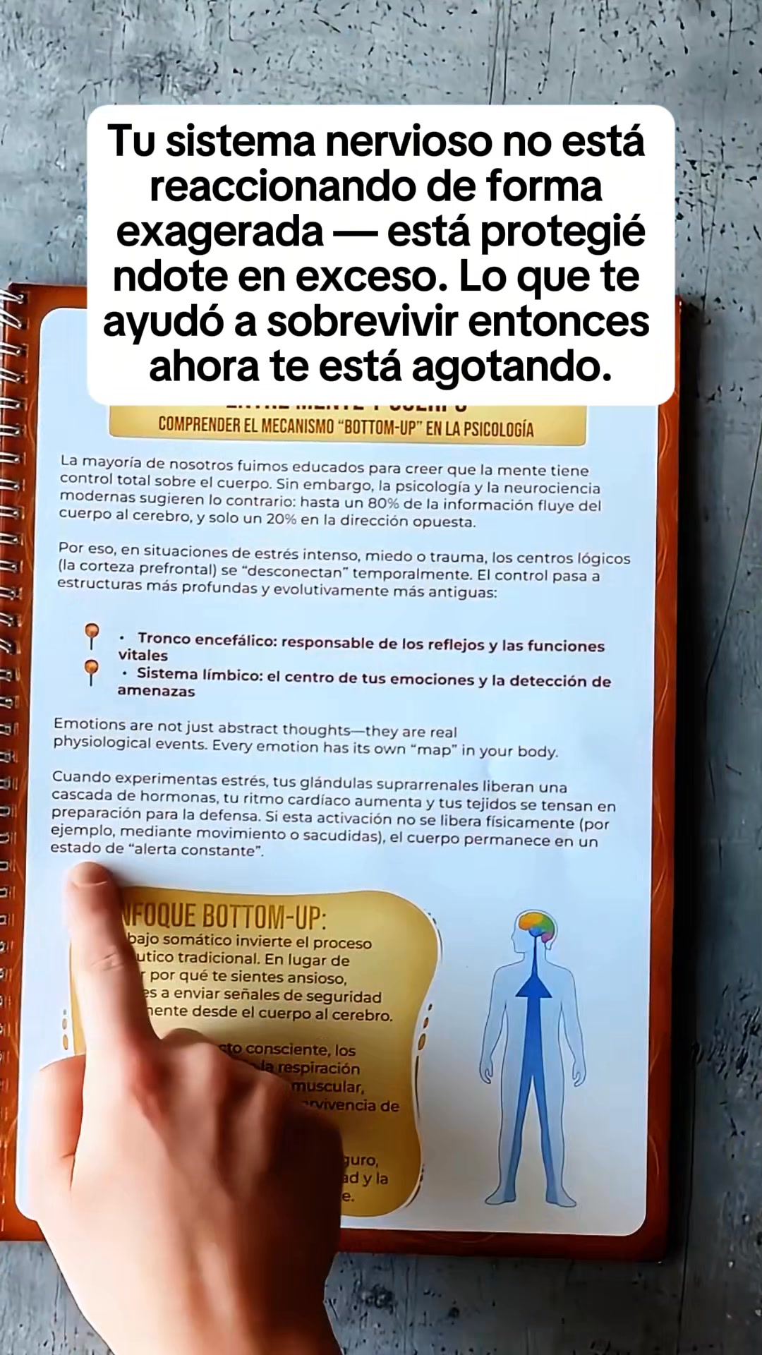 Cuaderno de Ejercicios de Terapia Somática