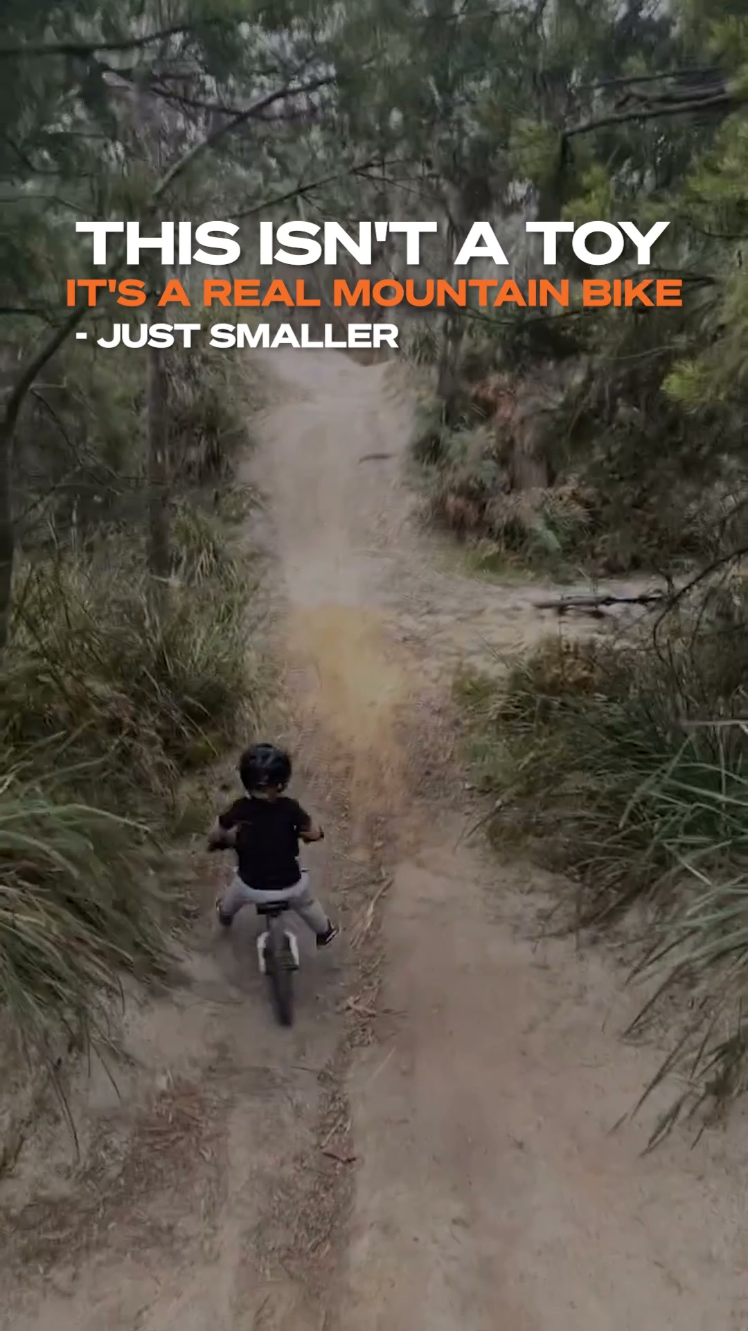 The Beginning of a Lifetime of Riding