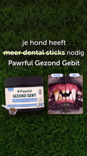 Duizenden baasjes kiezen voor deze oplossing!