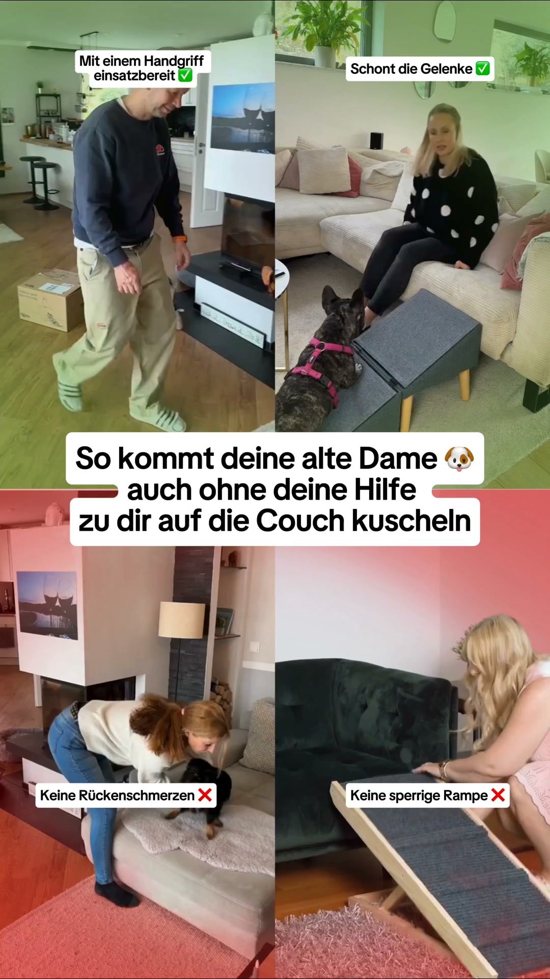 Von Tierärzten empfohlen