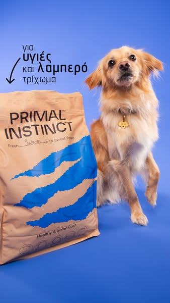 Ενήλικα σκυλιά μικρής & μεσαίας φυλής