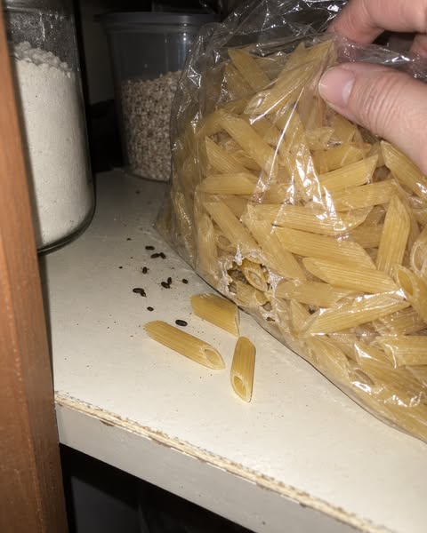 Wrzesień. I ja już wiem, co będzie w szafce z makaronem.