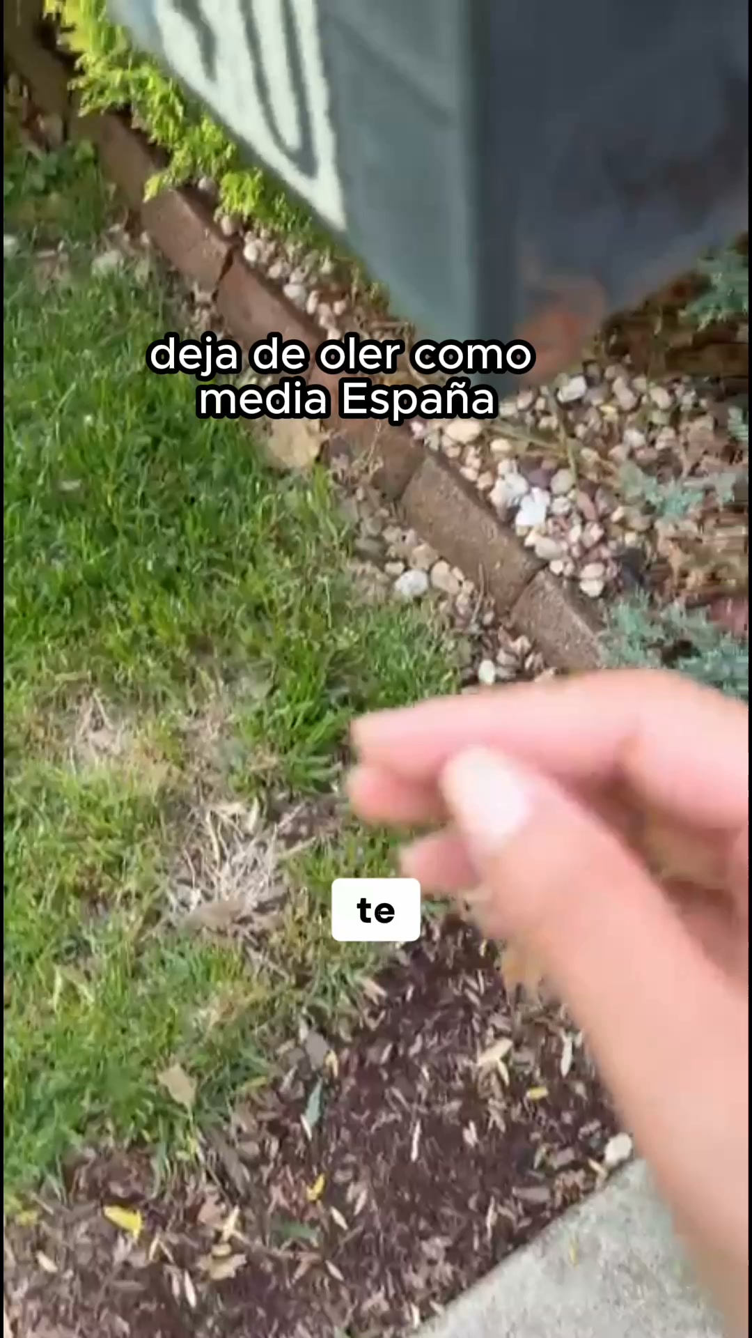 Crea tu propio perfume ahora