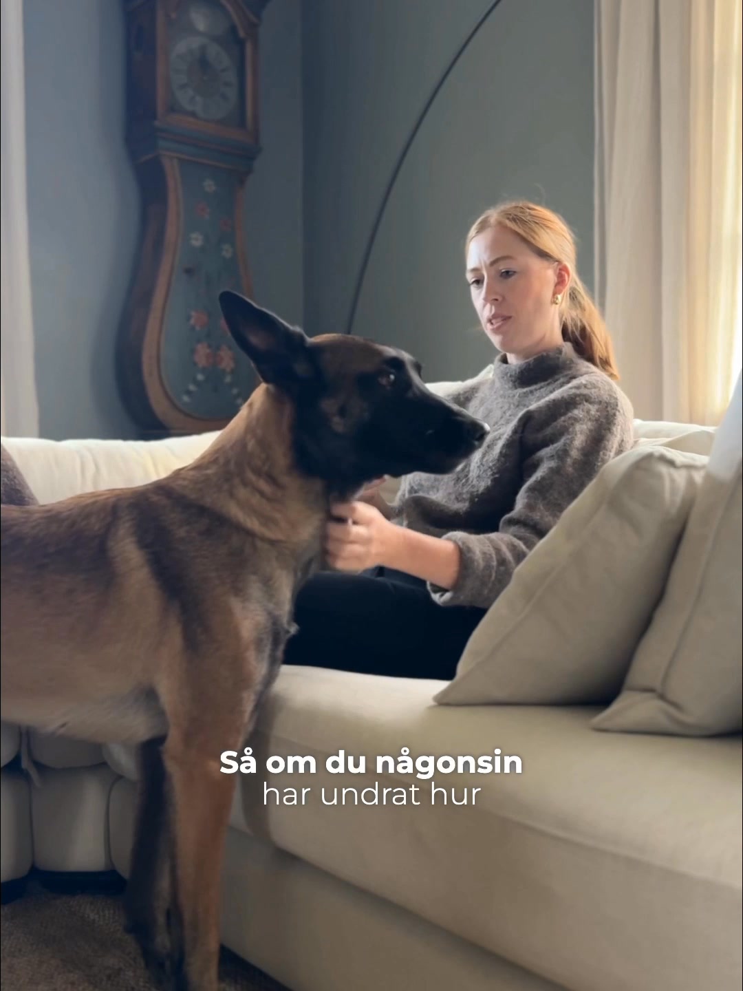 3 saker din hund gör som egentligen handlar om magen.