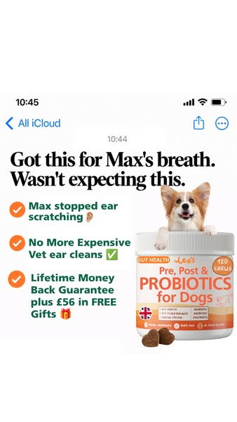 Try RISK FREE. Don't love it? We'll give you a refund.
