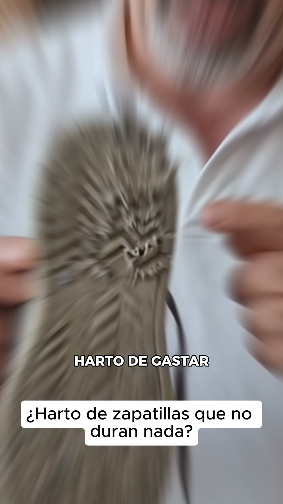 Edición Limitada
