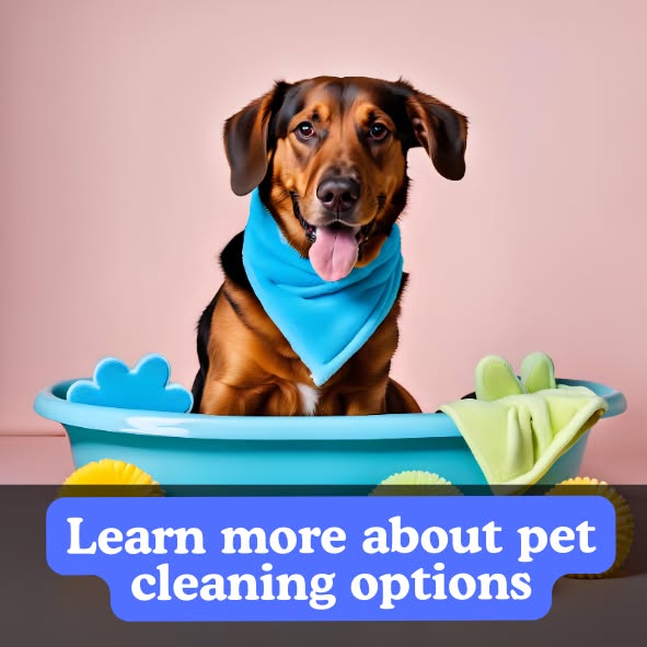 Learn more about pet cleaning options
