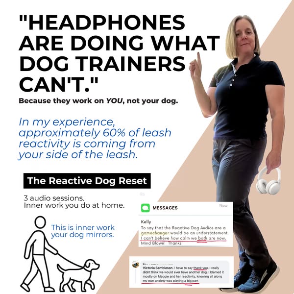 Your dog mirrors your energy. That's the good news.
