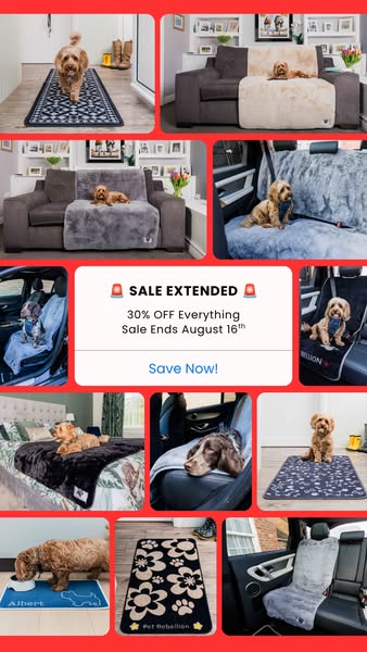 30% OFF