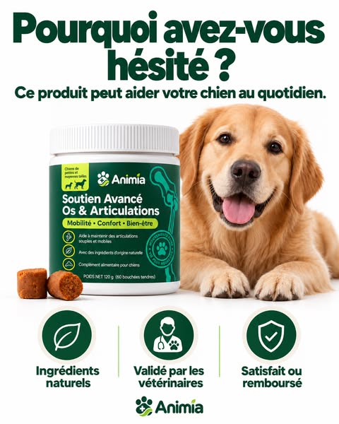 Dernière chance : offre jusqu’à ce soir