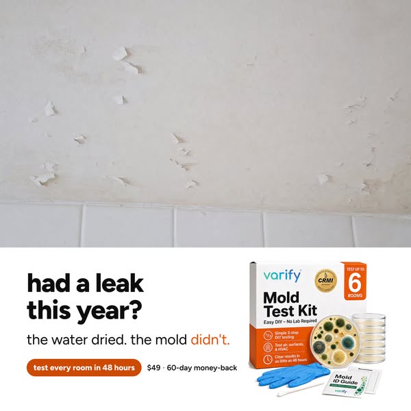 stop guessing if it's mold