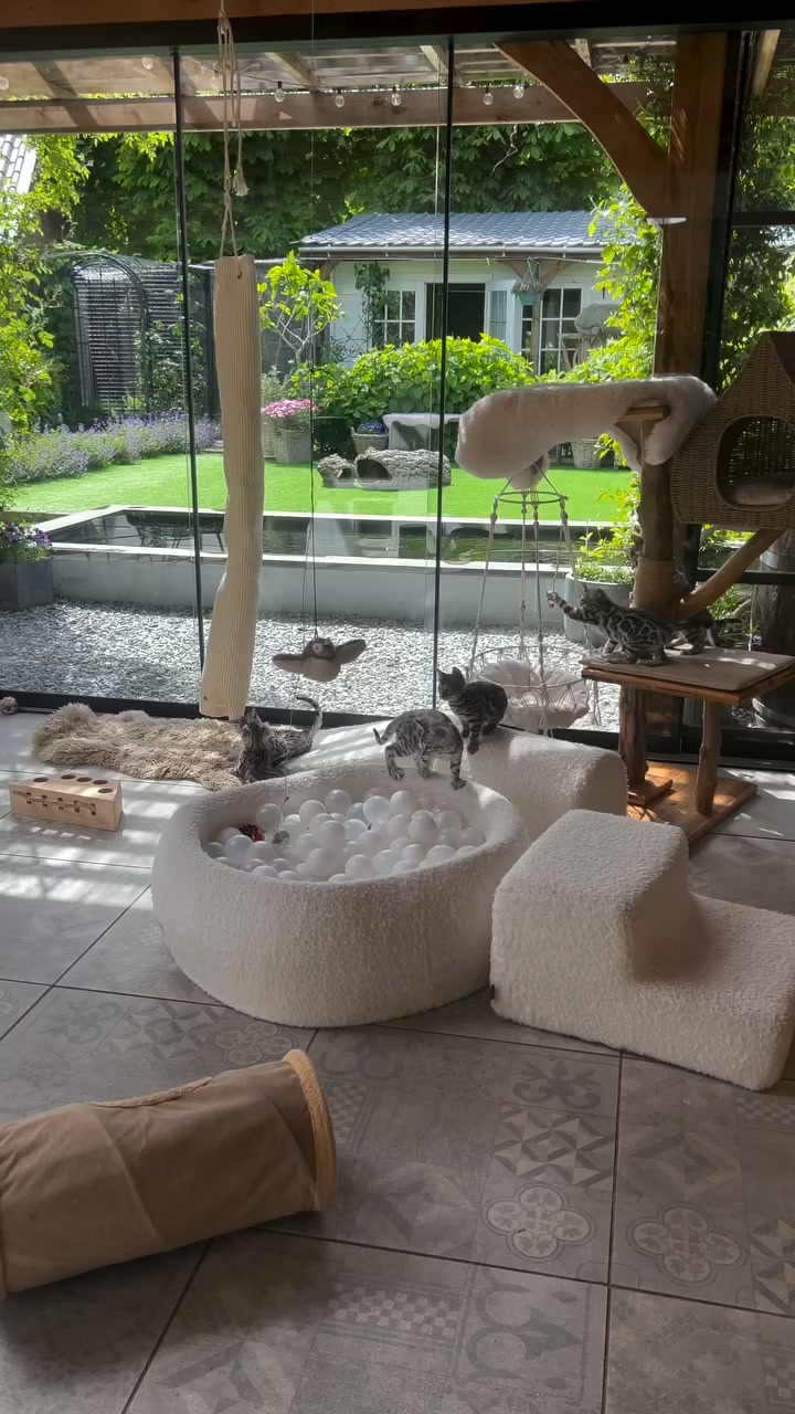Flapping Bird Cat Toy