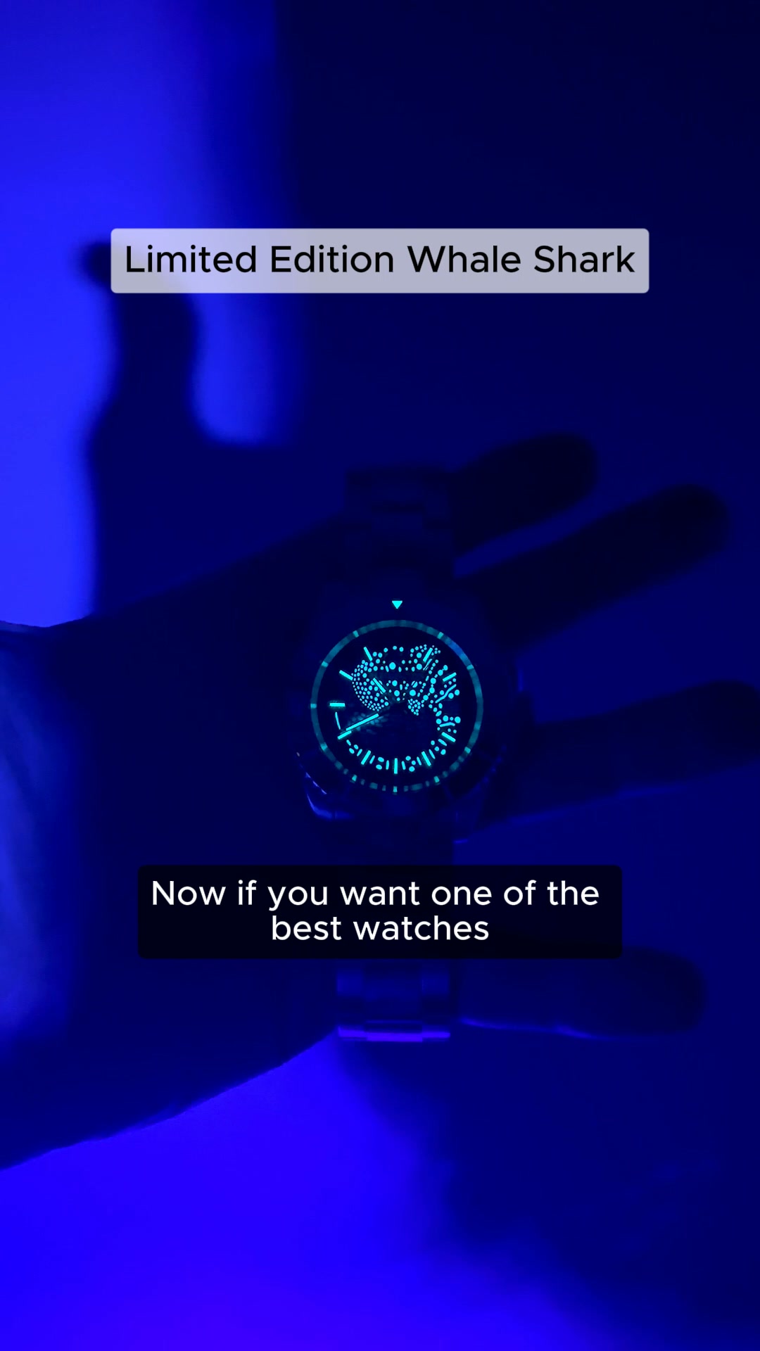 Limited Edition Whale Shark. Own the Glow.