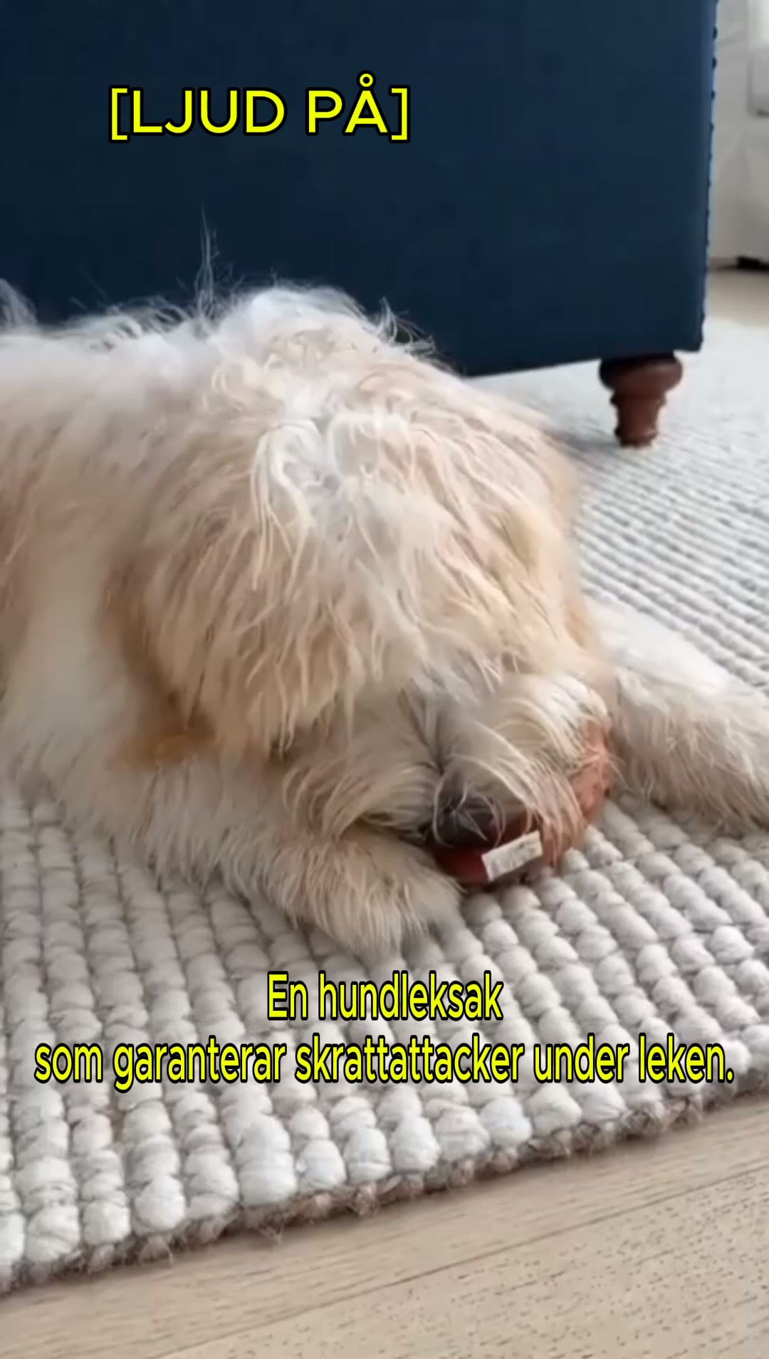 #1 Hundleksak
