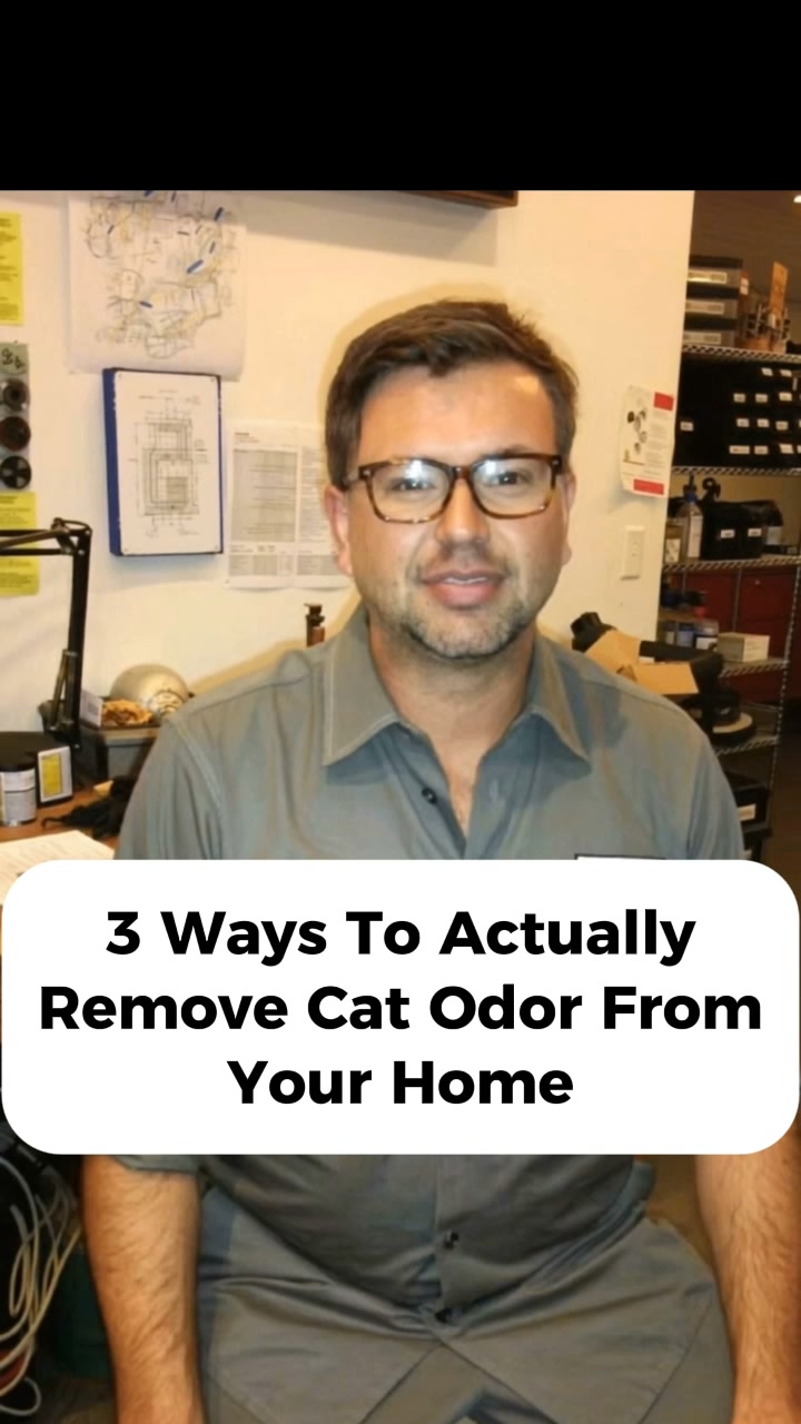 What Happens to Your Nose After Living With Cats for a Year