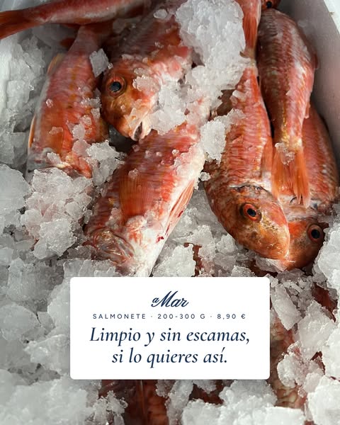 Salmonete fresco, 8,90 €
