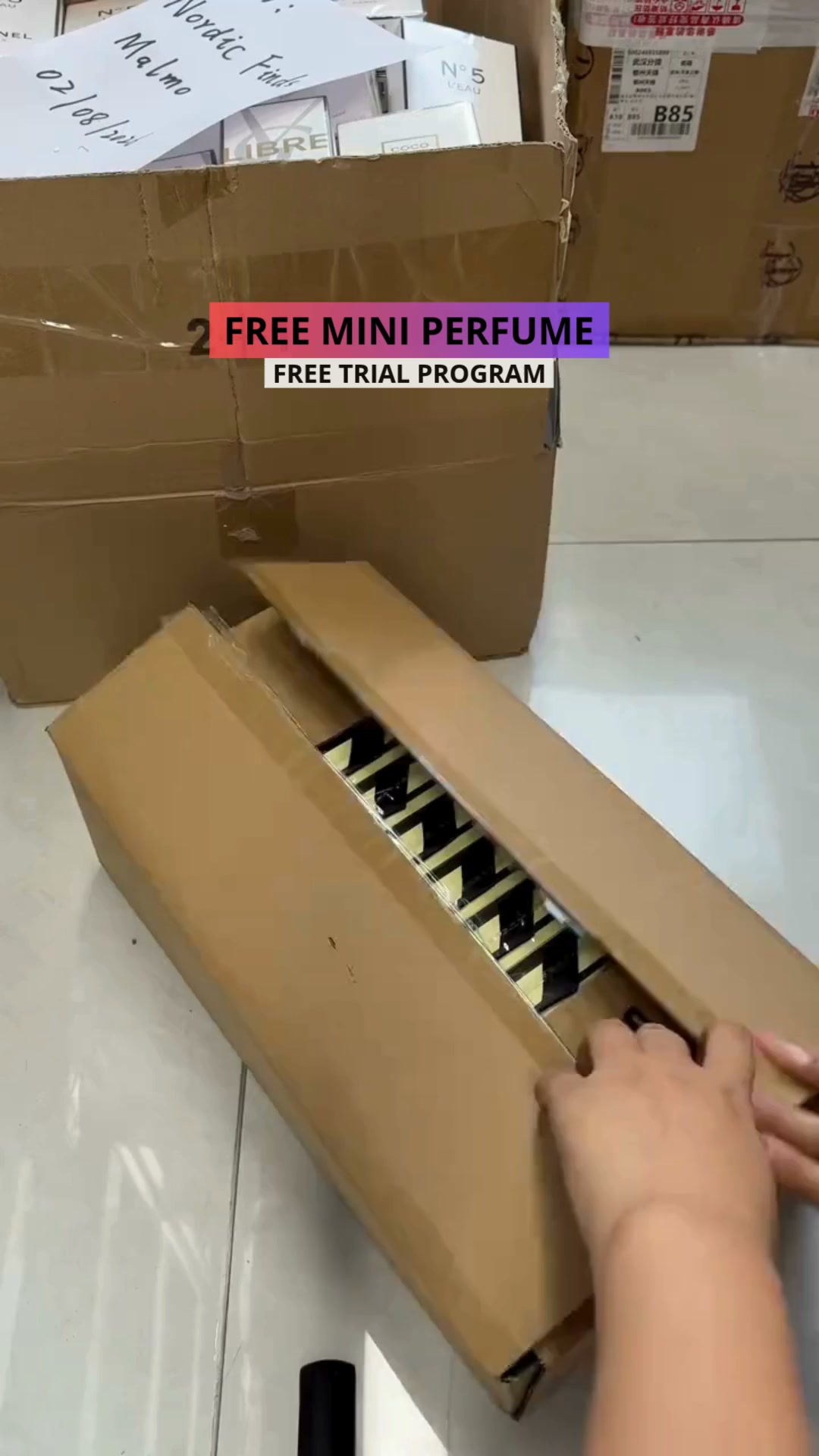 Try a Reborn Baby for FREE