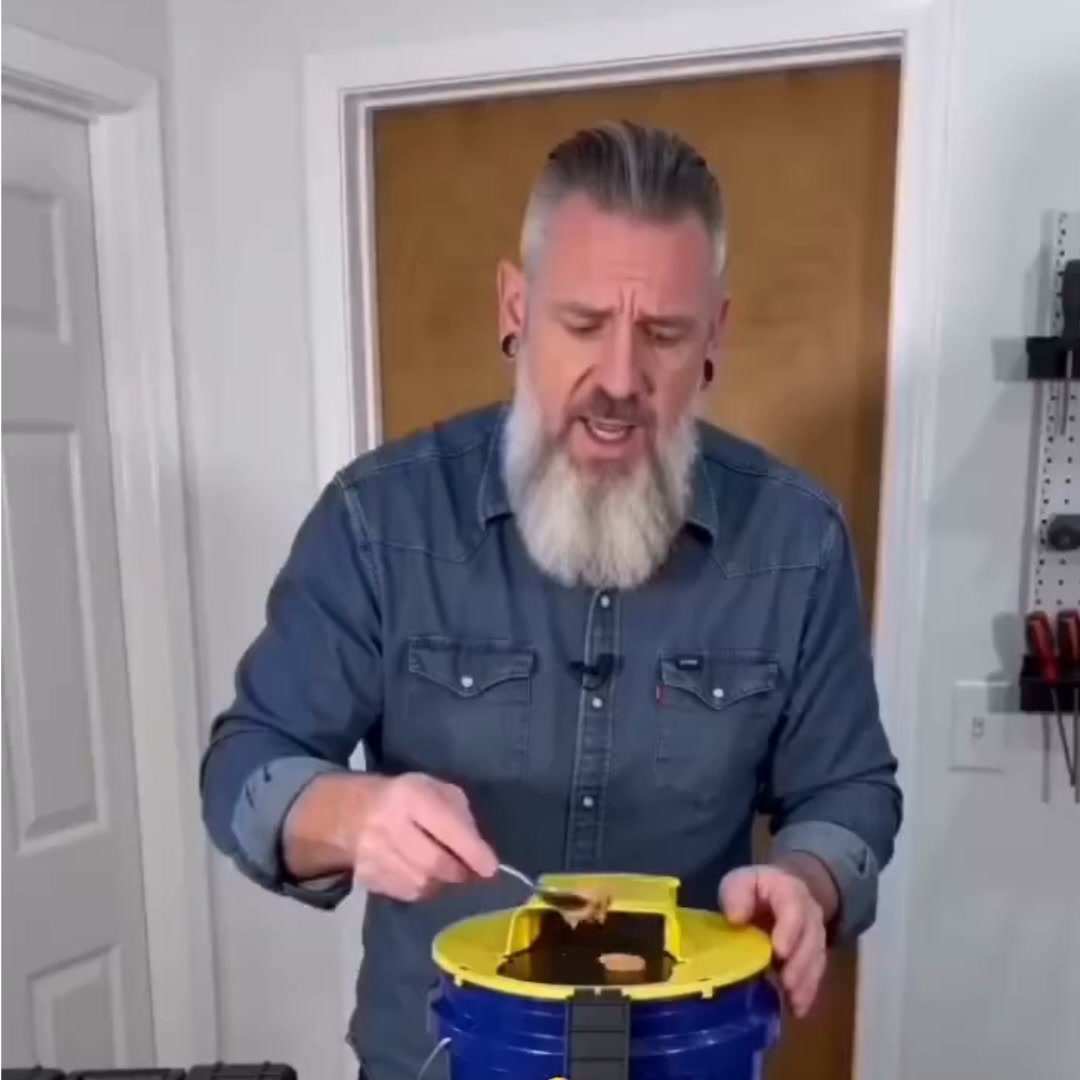 The Humane Way to End Your Rodent Problem