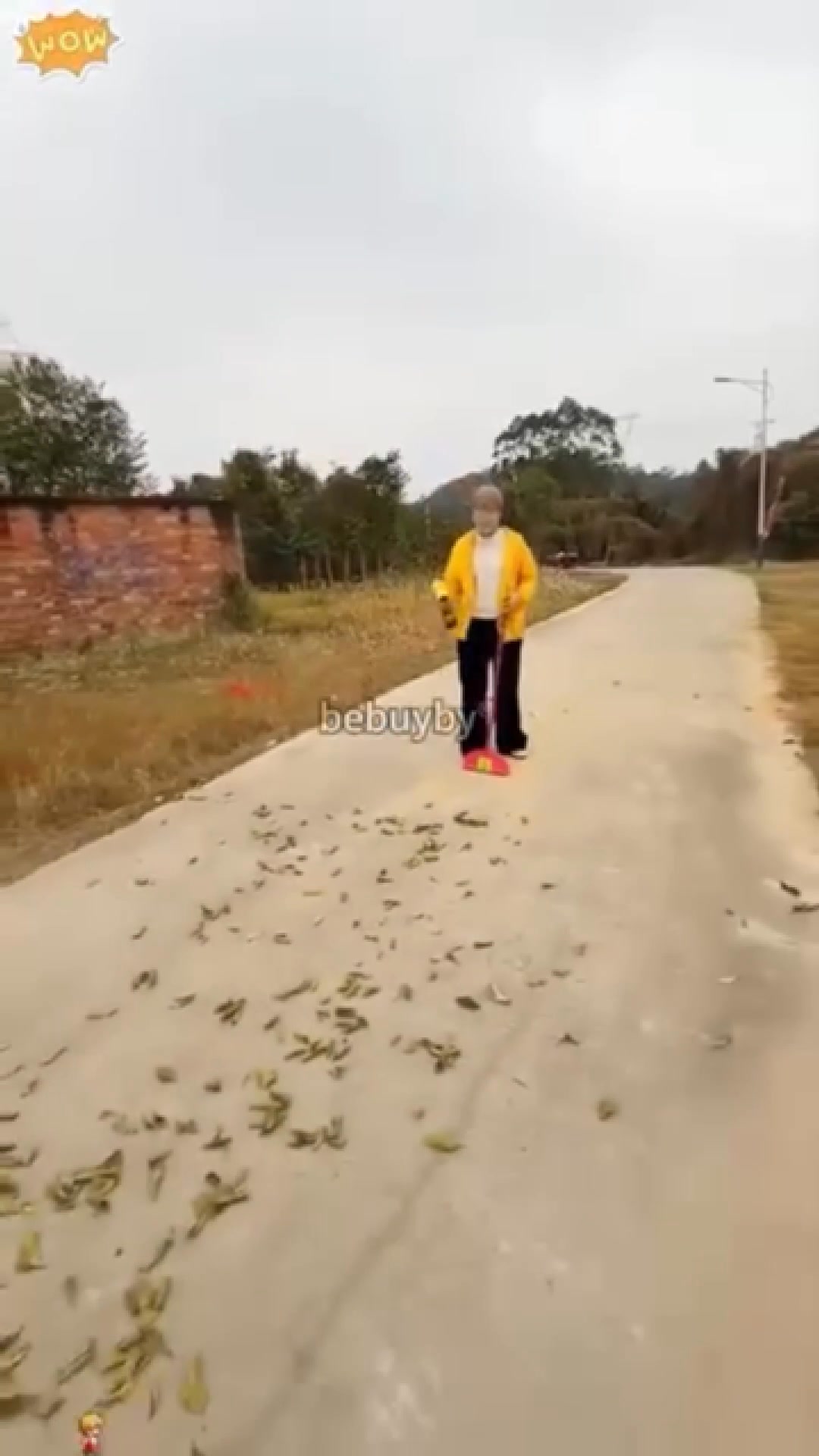 Función 2 en 1: sopla y aspira con la misma máquina