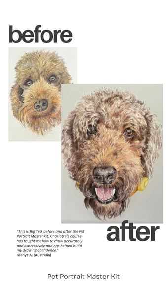 Transform your drawings