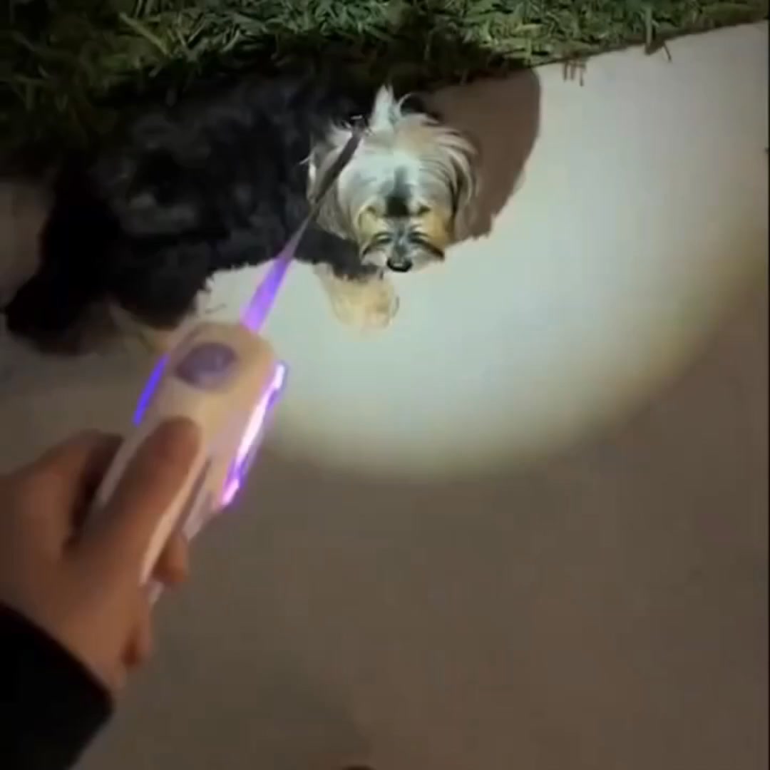 LumiLeash™ - Light-Up Dog Lead