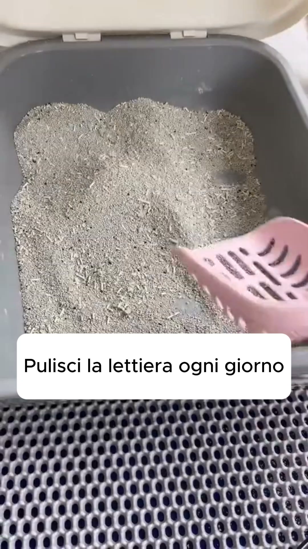 Mai più odore di lettiera